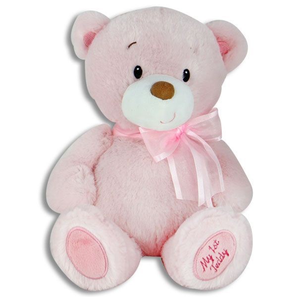 Pink Teddy Bear